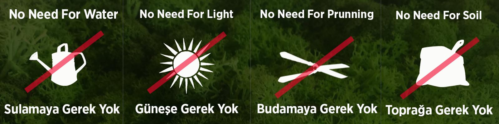 stabilize bitki no banner son